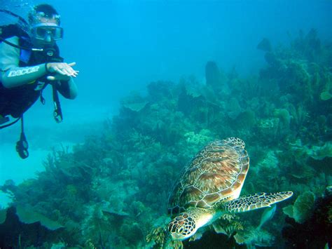 Snorkeling Vacation in Key Largo - Florida Vacation Travel Guide