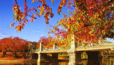 Experience Fall Foliage in Boston | Nico Boston Nico's Boston