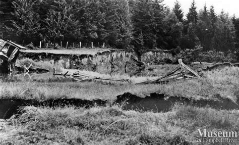 Damaged ground after 1946 earthquake, Read Island | Campbell River ...