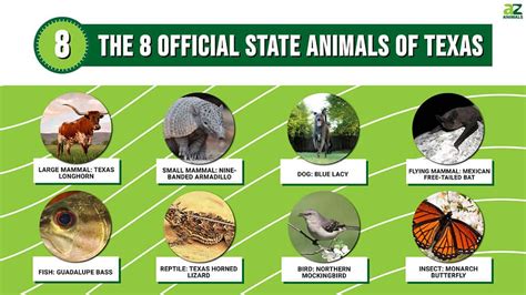 Discover the 8 Official State Animals of Texas - A-Z Animals