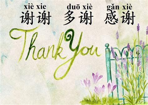 Learn how to say thank you in Chinese the easy way | Thank you in chinese, Chinese phrases ...