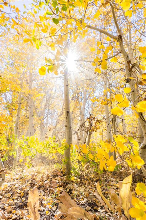 Fall Colors, around New Paltz, NY. [OC, 3280x4928]. : r/EarthPorn