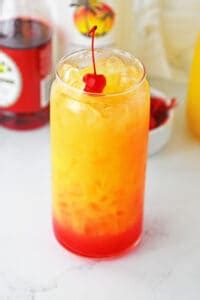 Malibu Rum Punch Recipe