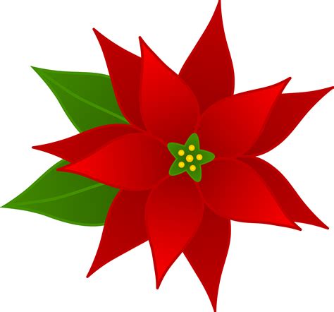 Free Christmas Poinsettia Pictures, Download Free Christmas Poinsettia Pictures png images, Free ...