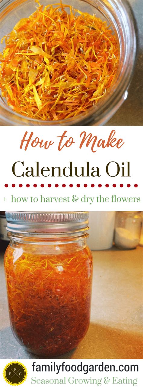 Calendula Oil [Easy DIY Recipe] | Family Food Garden | Herbalism, Herbal healing, Natural health ...