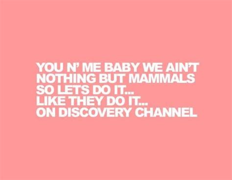 Bloodhound Gang~ Discovery Channel | Soundtrack to my life, Gang quotes, Lets do it