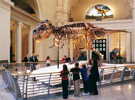 The 8 Best Chicago Museums You Can't Miss