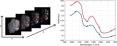 Hyperspectral imaging for tissue classification, a way toward smart ...