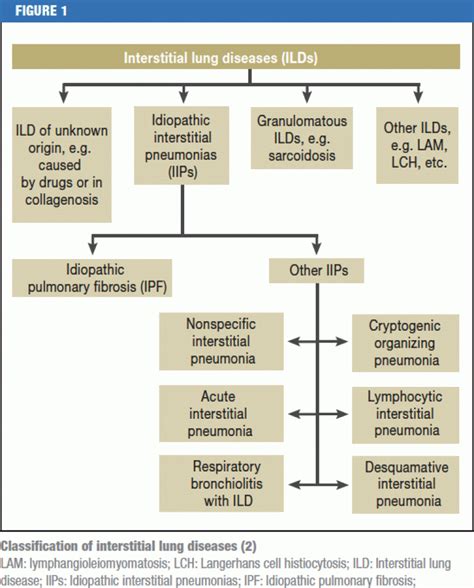 The Diagnosis and Treatment of Idiopathic Pulmonary Fibrosis (23.12.2013)