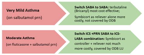 Inhaler Alternatives — Centre for Sustainable Health Systems