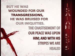 Isaiah 53:5 But He was pierced through for our transgressions,He was crushed for our iniquities ...