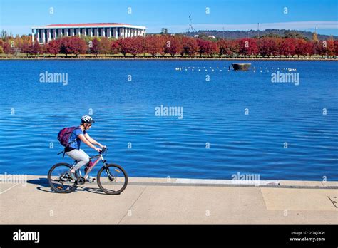 Cycling on the shores of Lake Burley Griffin Stock Photo - Alamy