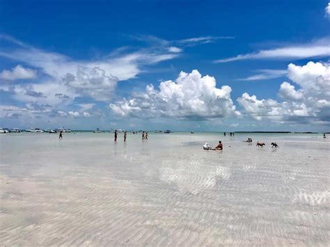 Spend a day like a local, at the Sandbar! - Sandbar Charters