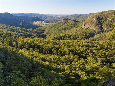 Gold Coast Hinterland Great Walk - Scenic Rim