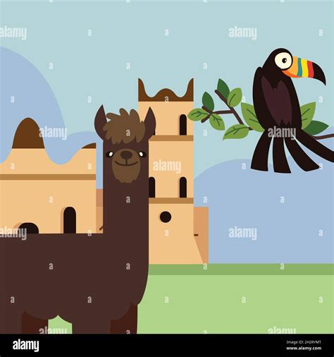 Andean llama Stock Vector Images - Alamy