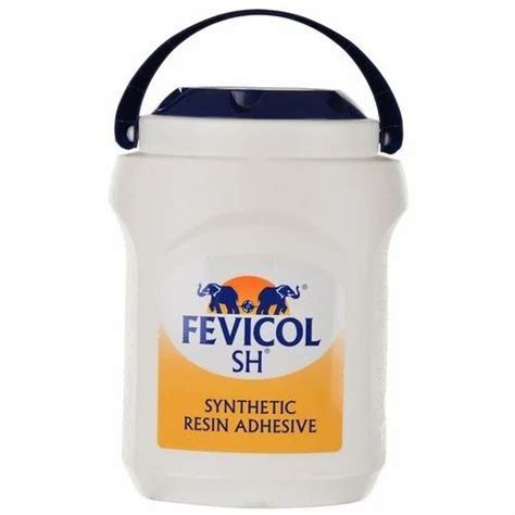 Fevicol Synthetic Resin Adhesive, 5 Kg at Rs 185/piece in Navi Mumbai ...