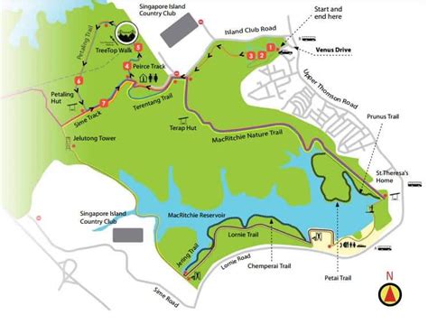 Bukit Timah Nature Reserve Singapore - Bridge & How to Get There