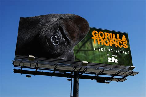 Gorilla Poster on Behance