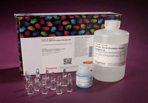 Thermo Scientific Pierce™ BCA Protein Assay Kit - Laboratory Consumables > Protein > Kits - Products