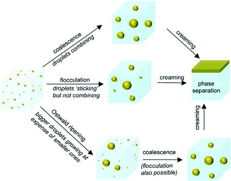 Fabrication of nanoparticles for bone regeneration: new insight into applications of ...