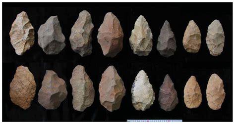 Did rise of ancient human ancestor lead to new stone tools? -- Secret History -- Sott.net