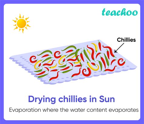 Examples Of Evaporation In Our Daily Life Explained Teachoo | Hot Sex ...