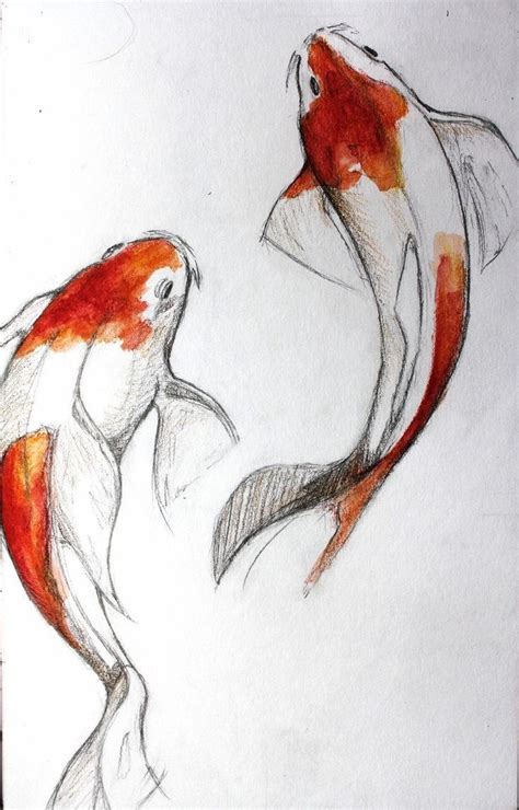 Karpa😊🤝 | Koi fish drawing, Koi art, Fish drawings