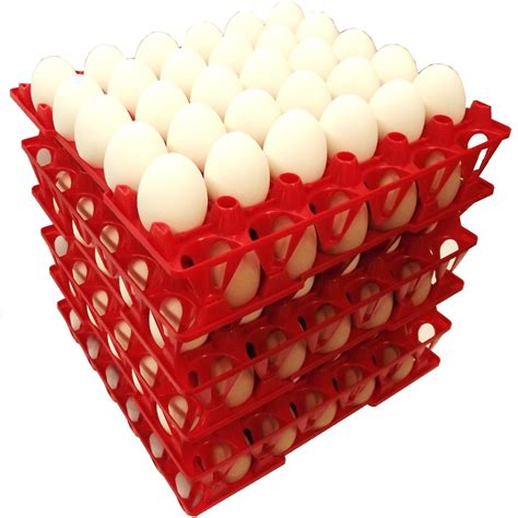 96 RITE FARM PRODUCTS 30 EGG POLY CHICKEN TRAYS SHIPPING CARTON POULTRY FLAT - Walmart.com