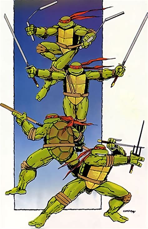 Mirage Ninja Turtles