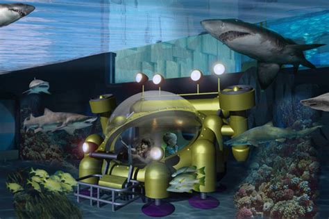 Ripley's releases more details about Toronto Aquarium