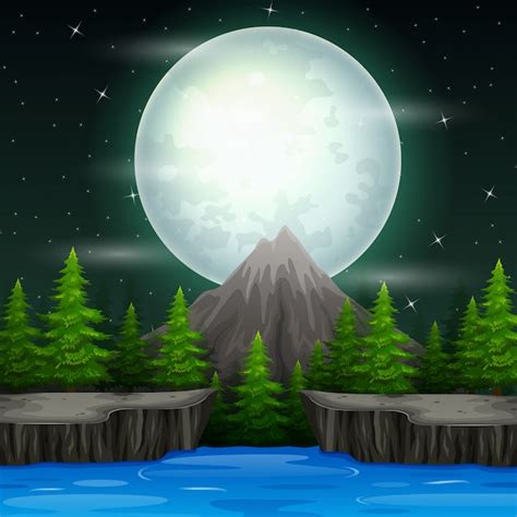 Premium Vector | Beautiful nature landscape at night background