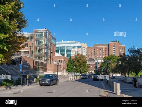 Campus of the University of Minnesota, Minneapolis, Minnesota, USA ...