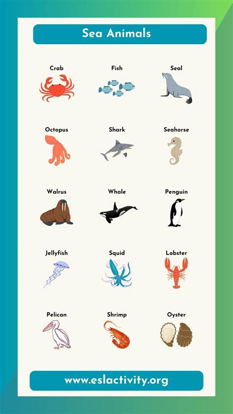 Water Animals Names in English | Sea & Aquatic Animals List