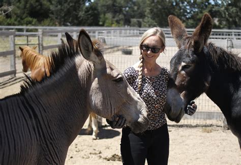 Donkey Rescue - Santa Ynez Valley Star