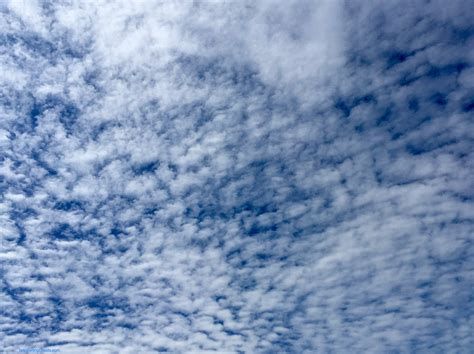 Fascinating Clouds altocumulus clouds | Fascinating Clouds