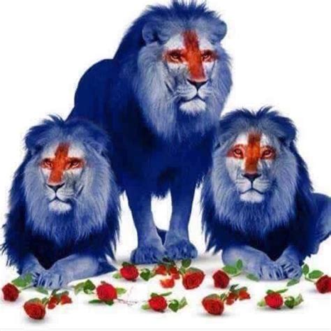 Three Lions, nickname of England football team. | Lion artwork, England ...