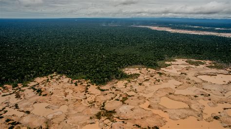 Peru Scrambles to Drive Out Illegal Gold Mining and Save Precious Land ...