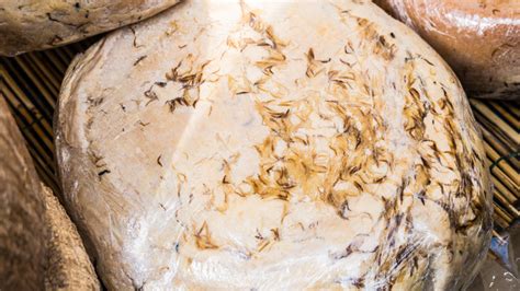 What Is Sardinian Casu Marzu Cheese And Why Is It Illegal In The US?