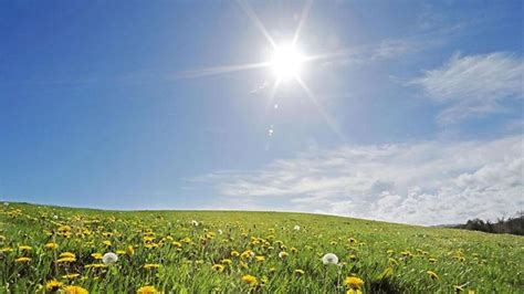 Dry sunny day with temperatures hitting 22 | Anglo Celt