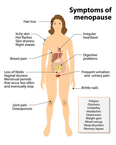 Symptoms of Menopause: Hot Flashes and Night Sweats, How Long Will They Last? — Colorado Optimal ...