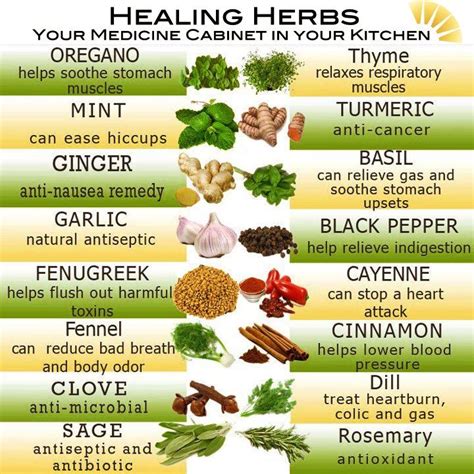 Healing Herbs | Healing herbs, Herbs for health, Herbs