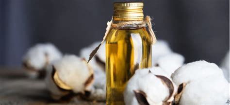 Is Cottonseed Oil Good or Bad for You? Uses, Dangers, Benefits - Dr. Axe