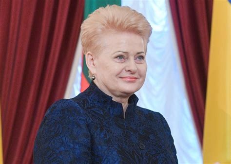 Lithuania's outgoing president to bid farewell to EU ambassadors