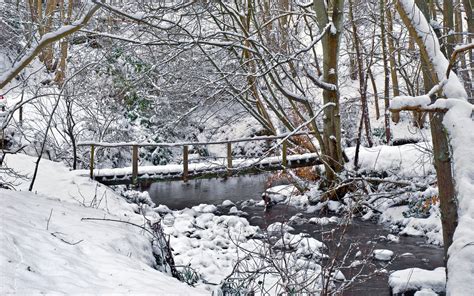 winter, River, Bridge, Landscape, Trees Wallpapers HD / Desktop and Mobile Backgrounds