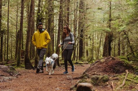 Alice Lake Park: Hiking | BC Parks