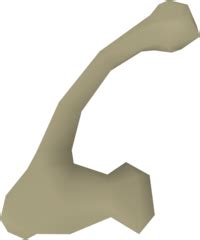 Curved bone - The RuneScape Wiki