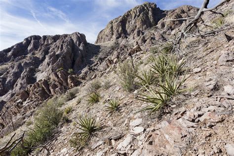 Above Bar Canyon | West side of the Organ Mountains near the… | Flickr