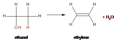 Dehydration Reaction | Overview & Examples - Lesson | Study.com