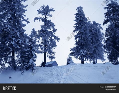 Old Frosty Wooden Hut Image & Photo (Free Trial) | Bigstock