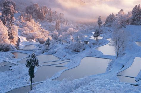 【日本の冬絶景】雪国の伝統の美しさ 新潟県の雪景色 (2020年1月21日) - エキサイトニュース